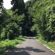 『FGO』日差し照り付ける真夏の昼間…野を越え山越え海に辿り着いた僕は「水着ガチャ」を引く―大自然で挑むガチャには驚きのドラマが待っていた！【特集】