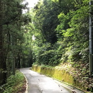 『FGO』日差し照り付ける真夏の昼間…野を越え山越え海に辿り着いた僕は「水着ガチャ」を引く―大自然で挑むガチャには驚きのドラマが待っていた！【特集】