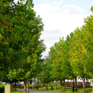 『ポケモン ソード・シールド』の「ダイマックス」を一足先に体験!? 巨大ポケモンの合成写真を作る新サービスを開始