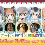『けものフレンズ3』事前登録数15万件達成!アプリ版配信時に「トキ」を全ユーザーへプレゼント