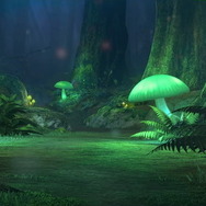 『ポケモン ソード・シールド』新企画「ポケモンライブカメラ」実施決定！ガラル地方の森を24時間生中継