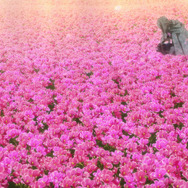 「劇場版 FGO -神聖円卓領域キャメロット-」第1弾特報映像＆キービジュアル公開！10月11日より「特典付き前売券」も発売開始