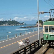 “江ノ電トロ号”が走る!『トロともりもり』と江ノ島電鉄のコラボレーション企画が発表