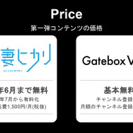 廉価版にも「期待してほしい」―“嫁”と一緒に生活できるキャラクター召喚装置「Gatebox」発表会レポ
