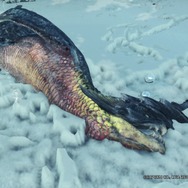 『モンハン：アイスボーン』新登場モンスター達の寝顔13選！リアリティを増した表情からは新たな発見があるかも？【特集】