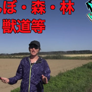 レアな“こころ”集めは地方民が有利！？あなたが求める答えは田んぼに落ちている【ドラクエウォーク 秋田局】