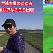 レアな“こころ”集めは地方民が有利！？あなたが求める答えは田んぼに落ちている【ドラクエウォーク 秋田局】