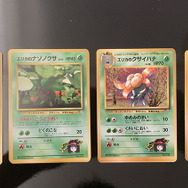 大和撫子でお嬢様なポケモントレーナー・エリカ!20年以上経っても人気が衰えない理由を『ポケカ』から考察