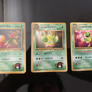 大和撫子でお嬢様なポケモントレーナー・エリカ!20年以上経っても人気が衰えない理由を『ポケカ』から考察