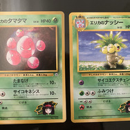 大和撫子でお嬢様なポケモントレーナー・エリカ!20年以上経っても人気が衰えない理由を『ポケカ』から考察