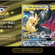 大和撫子でお嬢様なポケモントレーナー・エリカ!20年以上経っても人気が衰えない理由を『ポケカ』から考察