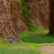 『ポケモン ソード・シールド』ガラル地方の「ワイルドエリア」をジオラマで精密に再現！ポケモンとも出会えるWEBコンテンツが2019年11月上旬より公開