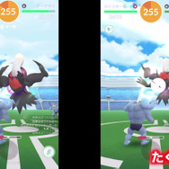 “強すぎる”と話題の「ダークライ」を4人で討伐！アメ2倍だけど、捕まえるだけでも一苦労？【ポケモンGO 秋田局】