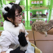 『けものフレンズ3』池袋をフレンズたちがジャック！「ようこそ、いけぶくろパークへ」開催中