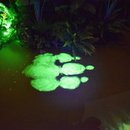 五感で楽しめる『モンスターハンター15周年展』内覧会をレポート！初解禁となった資料＆藤岡ディレクターの囲み取材の模様もお届け