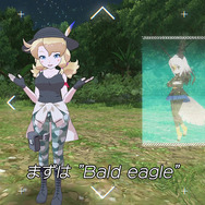 「けものフレンズ３ LIVE」にて公開された最新情報をお届け─「ハクトウワシ」＆「サバンナシマウマ」を紹介する「カレンダ・レコード」公開