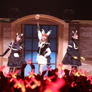 「けものフレンズ３ LIVE」にて公開された最新情報をお届け─「ハクトウワシ」＆「サバンナシマウマ」を紹介する「カレンダ・レコード」公開