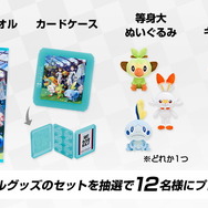 ポケモン ソード・シールド』パッケージ版購入者に向けた
