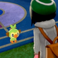 親子で『ポケモン シールド』をプレイ！「草ポケ愛の遺伝と、ライバルの距離感が気になる」