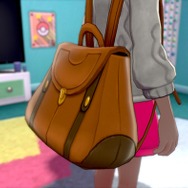 親子で『ポケモン シールド』をプレイ！「草ポケ愛の遺伝と、ライバルの距離感が気になる」