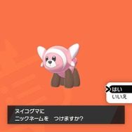 親子で『ポケモン シールド』をプレイ！「草ポケ愛の遺伝と、ライバルの距離感が気になる」