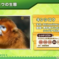 『けものフレンズ３』わくわくどきどき探検レポート #02まとめ！新フレンズ“アルパカ・ワカイヤ”などワクワクする最新情報が盛り沢山