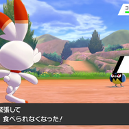 『ポケモン ソード・シールド』を『金・銀』から約20年ぶりにプレイして驚いた9つの進化─復帰勢にこそ遊んで欲しい！