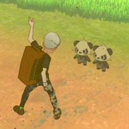 『ポケットモンスター ソード・シールド』小ネタ13選!あなたはすべて知ってる?