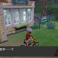 【吉田輝和の絵日記】『ポケモン ソード・シールド』キャンプにオシャレに巨大化バトル！―中年達が少年に戻る