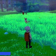 『ポケモン ソード・シールド』の「マジカル交換」でわらしべチェレンジ！ LV.6のホシガリスが奇跡を起こす！