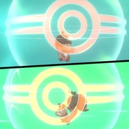 『ポケモン ソード・シールド』の「マジカル交換」でわらしべチェレンジ！ LV.6のホシガリスが奇跡を起こす！