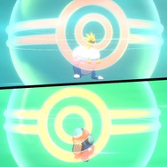 『ポケモン ソード・シールド』ポケモン図鑑完成を目指すときのコツ！400種類コンプを目指そう