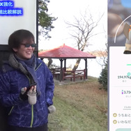 テラキオン徹底解説！いわタイプNo1アタッカーをMAX強化＆ジム戦検証─バンギラスとの違いは？【ポケモンGO 秋田局】