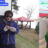 テラキオン徹底解説！いわタイプNo1アタッカーをMAX強化＆ジム戦検証─バンギラスとの違いは？【ポケモンGO 秋田局】