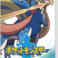 『ポケモン ソード・シールド』岡田将生さん＆ハライチ澤部佑さんが小学生に変身？掛け合いバッチリな新TVCMが12月7日より順次公開