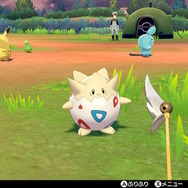 『ポケモン ソード・シールド』個性あふれるNPCのキャンプに突撃取材！ポケモン好きにはたまらない楽園、何度でも足を運んじゃう