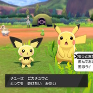 『ポケモン ソード・シールド』個性あふれるNPCのキャンプに突撃取材！ポケモン好きにはたまらない楽園、何度でも足を運んじゃう