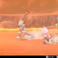 『ポケモン ソード・シールド』個性あふれるNPCのキャンプに突撃取材！ポケモン好きにはたまらない楽園、何度でも足を運んじゃう