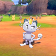 『ポケモン ソード・シールド』個性あふれるNPCのキャンプに突撃取材！ポケモン好きにはたまらない楽園、何度でも足を運んじゃう