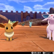 『ポケモン ソード・シールド』個性あふれるNPCのキャンプに突撃取材！ポケモン好きにはたまらない楽園、何度でも足を運んじゃう