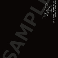 PC/PS4/XB1『ライフ イズ ストレンジ 2』日本語版が3月26日に発売決定！吹替版プレイ動画も公開