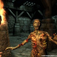 ゲーム19XX~20XX第15回:フィットネスゲーム『Wii Fit』の人気が沸騰、海外の名作も登場した2007年のゲームを紹介