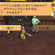 キングダムハーツ コーデッド