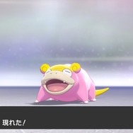 「ヤドン（ガラルのすがた）」の“鋭い目つき”がとても気になる…！キャンプやバトルで観察してみた