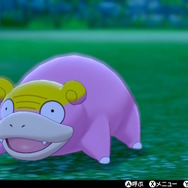 「ヤドン（ガラルのすがた）」の“鋭い目つき”がとても気になる…！キャンプやバトルで観察してみた