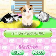 かわいい子猫DS2