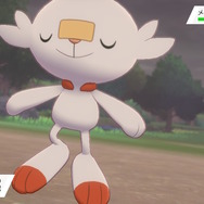 『ポケットモンスター ソード・シールド』ガラル地方ポケモンの寝顔11選！厳ついアイツから可愛いアイツまで【特集】