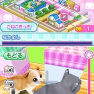 かわいい子猫DS2