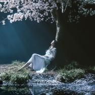 劇場版「「Fate/stay night [Heaven's Feel]」III.spring song」主題歌「春はゆく」のジャケットイラスト公開！