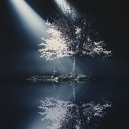 劇場版「「Fate/stay night [Heaven's Feel]」III.spring song」主題歌「春はゆく」のジャケットイラスト公開！